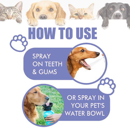 Pet Oral Care Spray Teeth Cleaning Pet Tooth Whitening Remove Bad Breath Keep Fresh Breath Remove Tooth Stains For Cats and Dogs - Gangsterdog