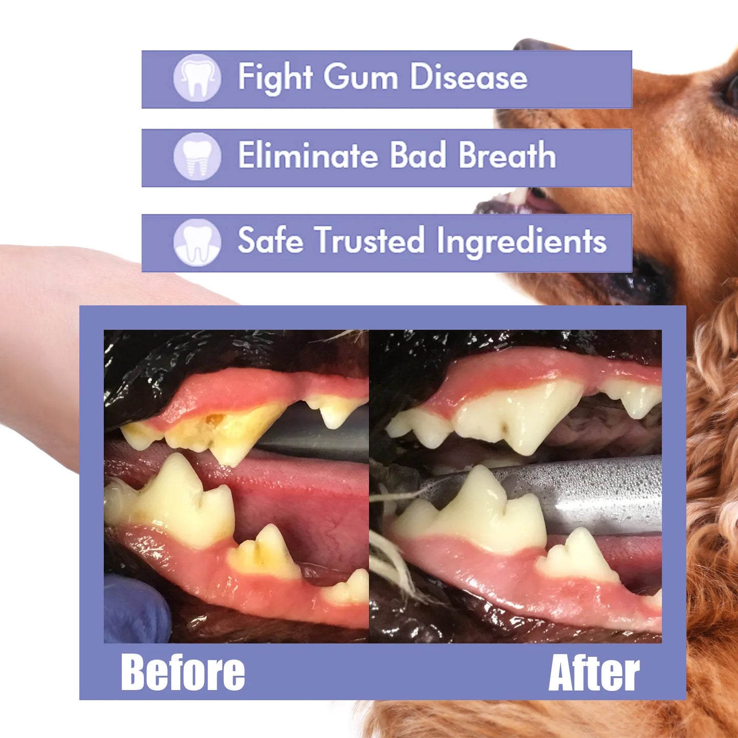 Pet Oral Care Spray Teeth Cleaning Pet Tooth Whitening Remove Bad Breath Keep Fresh Breath Remove Tooth Stains For Cats and Dogs - Gangsterdog