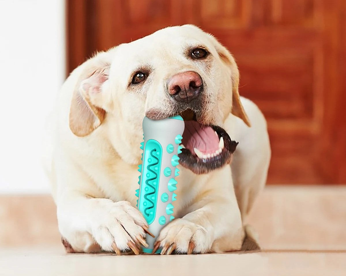 Dog Molar Toothbrush Stick Toys - Gangsterdog